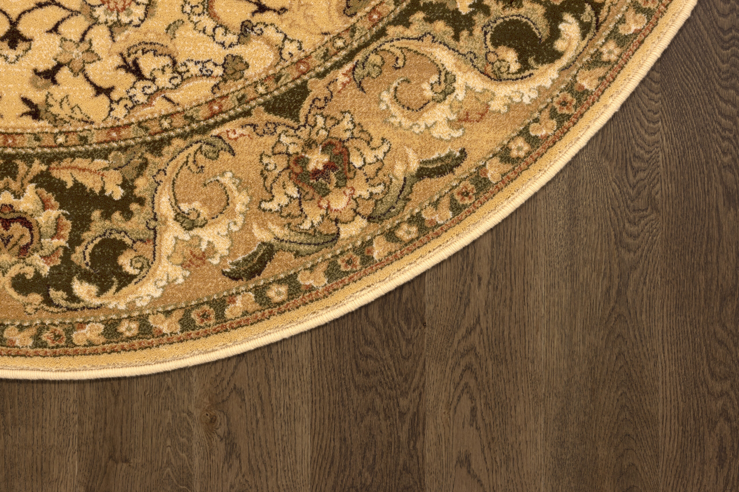 AGNUS REJENT O sahara R scaled