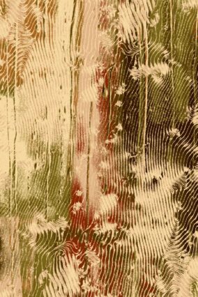 ORNAN sahara SYM GraphicFile