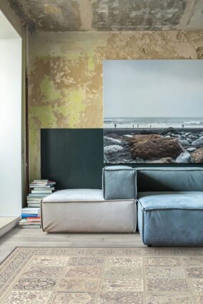 timor mietowy 1 scaled