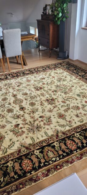 20230805 121254 scaled