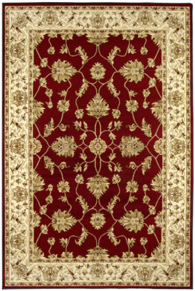 STANDARD BEGONIA bordo maly RGB