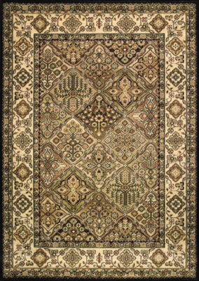 STANDARD BERGENIA oliwka olive P large