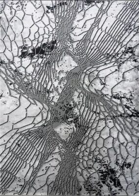 dywan Elite 8754 grey