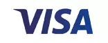 płatność visa