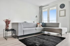 BRAN szary grey int scaled