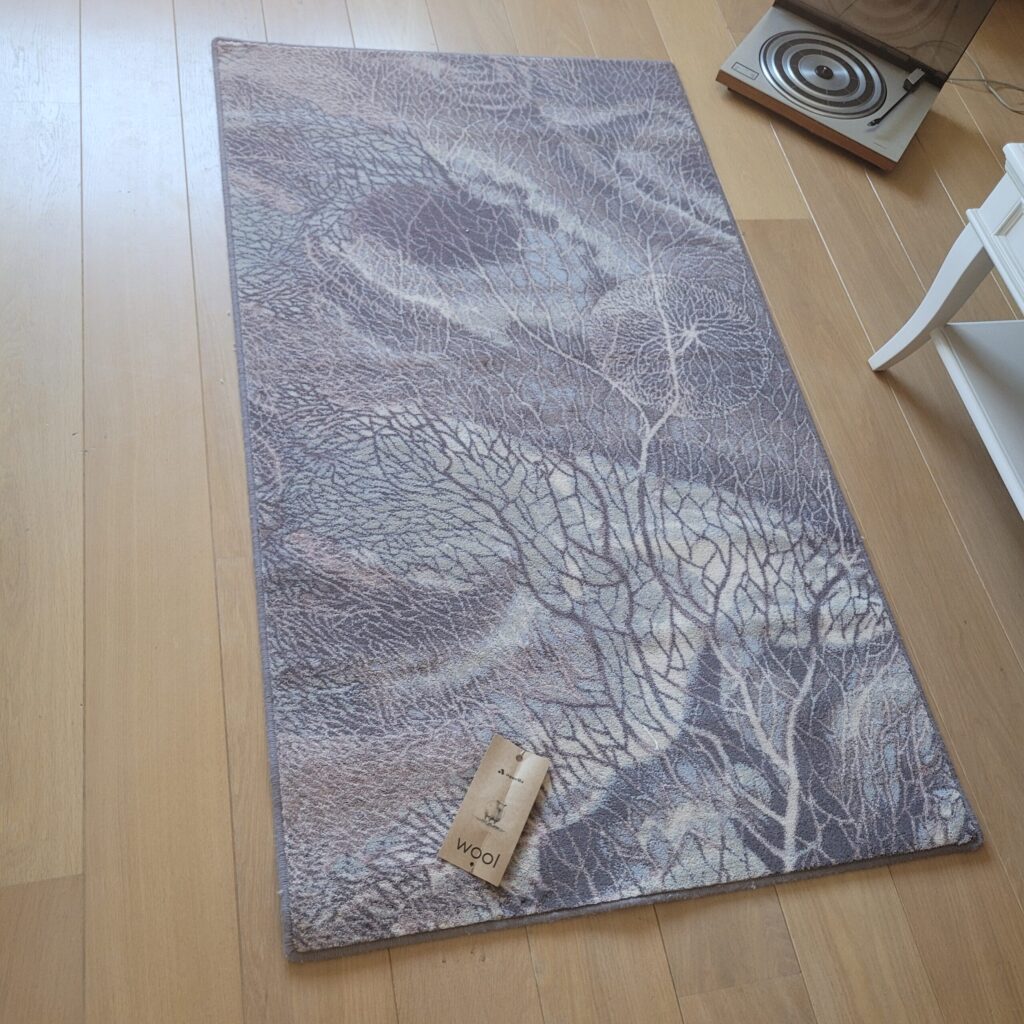 20240828 150001 scaled