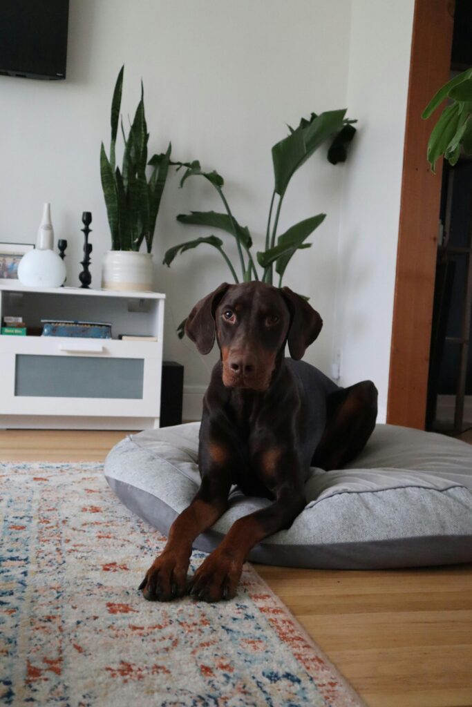 pexels candace c 2149638232 30874198 scaled