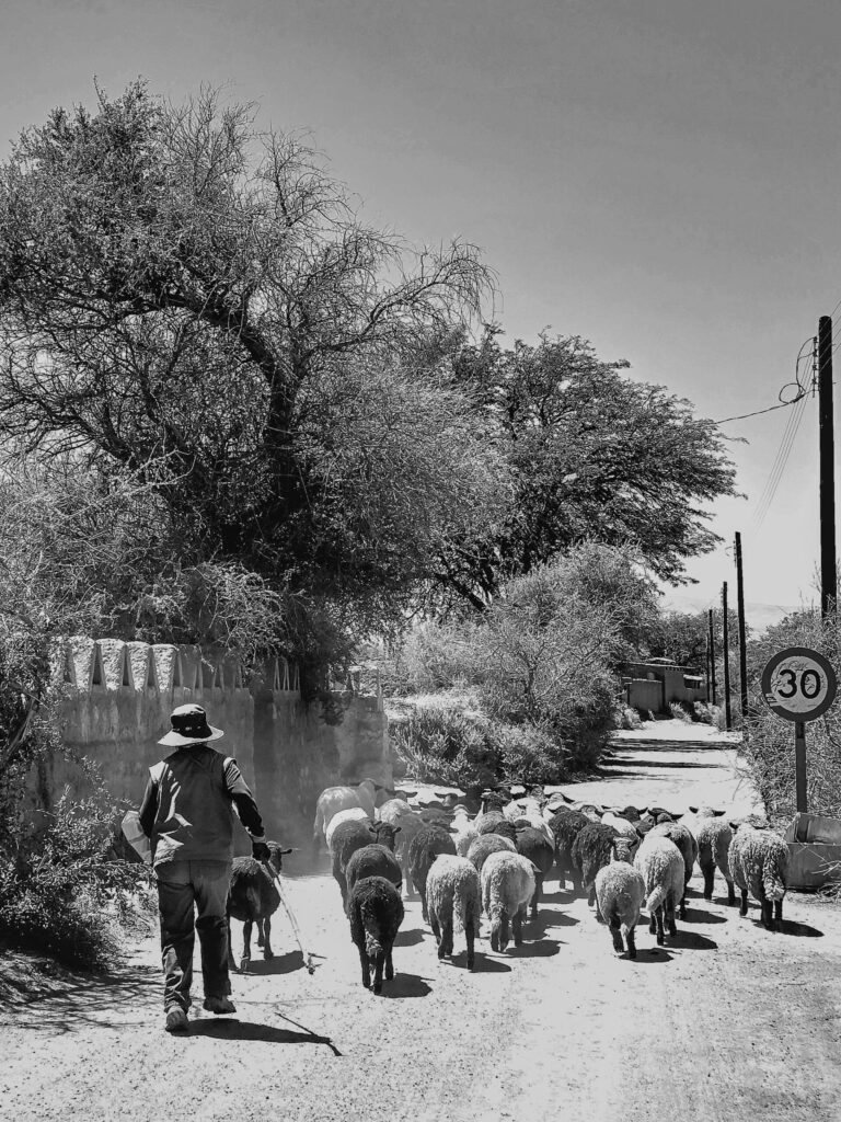 pexels riccardo de peron 2150579514 31214282 scaled