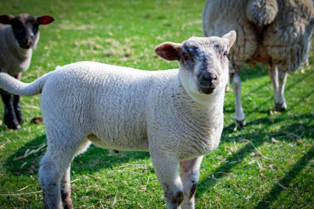 pexels jasper kortmann 757707790 31867442 scaled