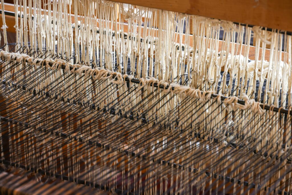 pexels magda ehlers pexels 32655889