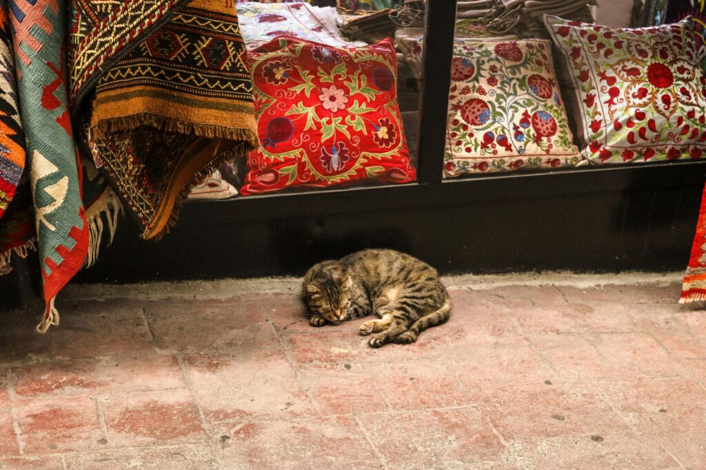 pexels rana aldemir 2151415483 33343274